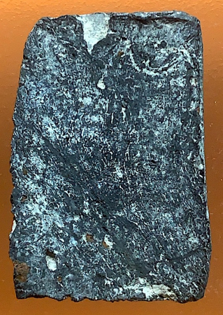 S__12517389.jpg