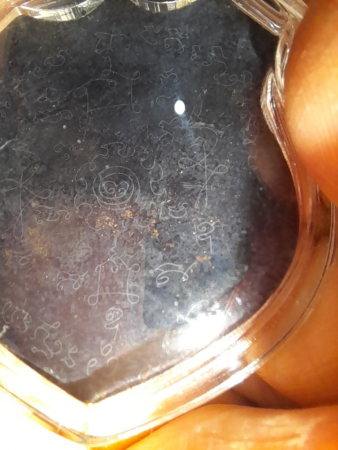 20230312_173911.jpg
