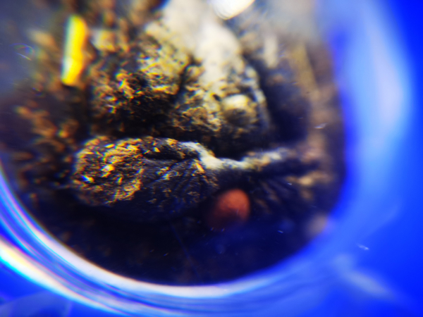 IMG_20230117_150851_调整大小.jpg