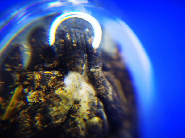 IMG_20230117_150858_调整大小.jpg