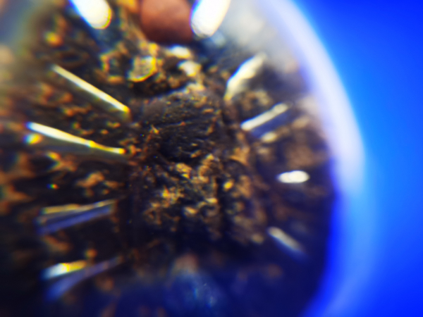 IMG_20230117_150941_调整大小.jpg