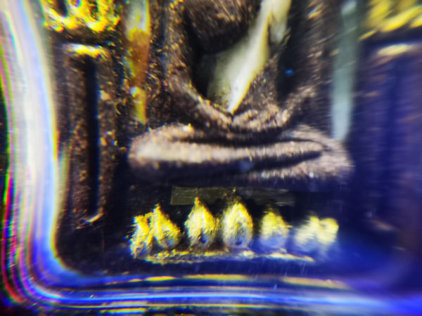 IMG_20230117_151556_调整大小.jpg