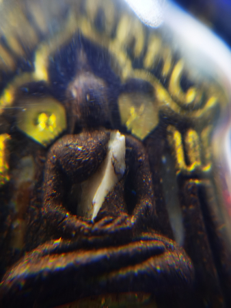 IMG_20230117_151830_调整大小.jpg