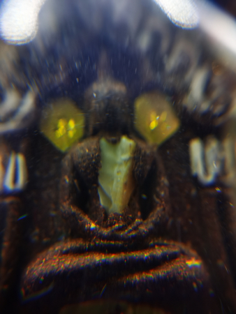 IMG_20230117_151925_调整大小.jpg