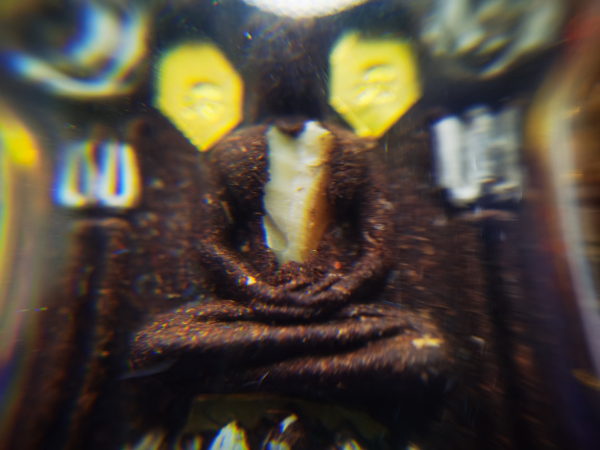 IMG_20230117_151949_调整大小.jpg