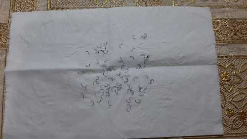 IMG-20210412-WA0000.jpg
