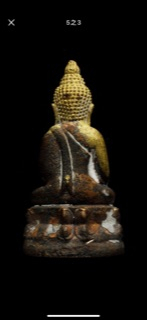IMG_1724.png
