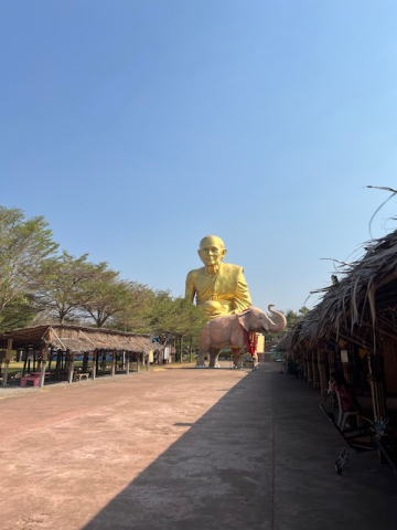 IMG_2203.jpeg