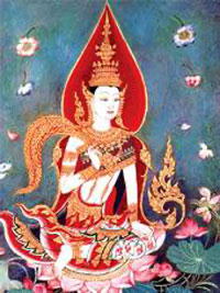 IMG_7123.png