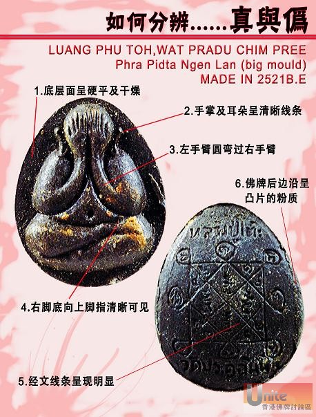 PITA ngen lan(big).jpg